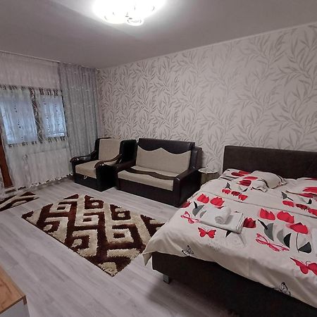 Апартаменты Garsoniera George Тыргу-Окна Экстерьер фото